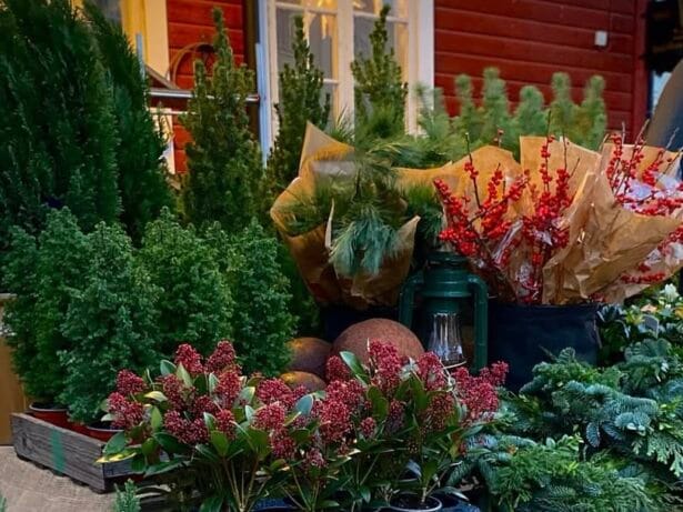 Julmarknad på Bellis