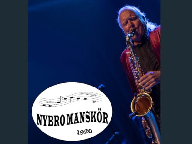 Julkonsert med Johan Stengård