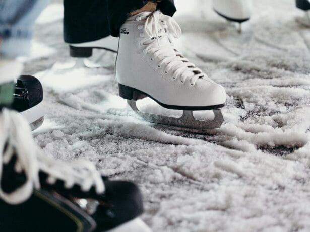 Allmänhetens åkning