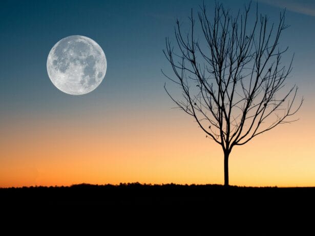 Musik för själen - Örsjö kyrka