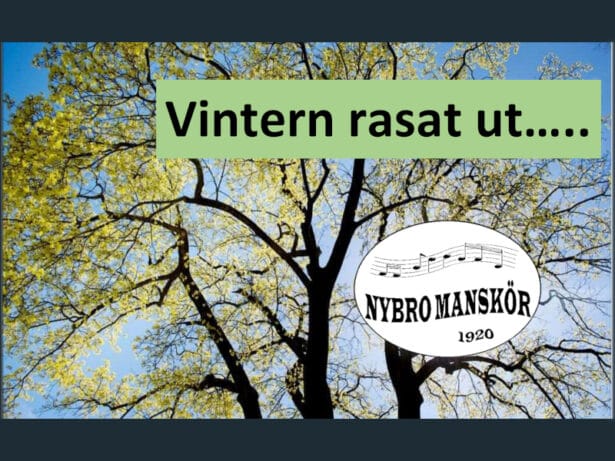 Vintern rasat ut!