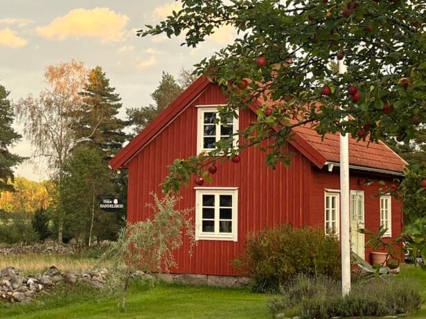 LOPPIS & butiks-lagerrensning