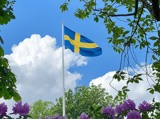 Nationaldagsfirande på Qvarnasläts hembygdsgård