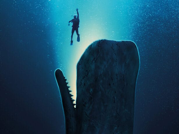 Whalefall