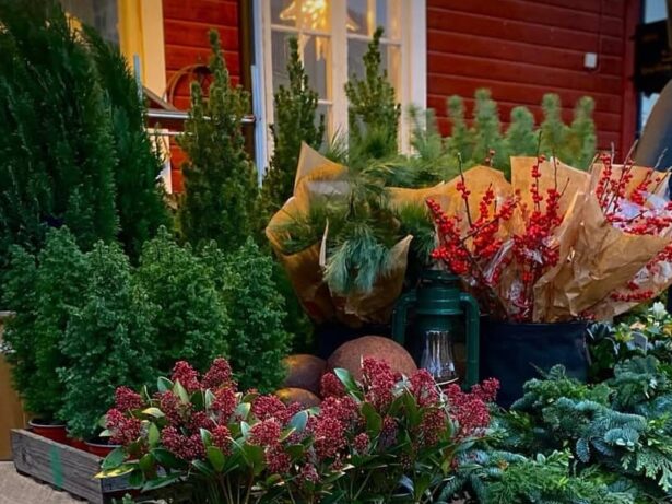 Julmarknad på Bellis