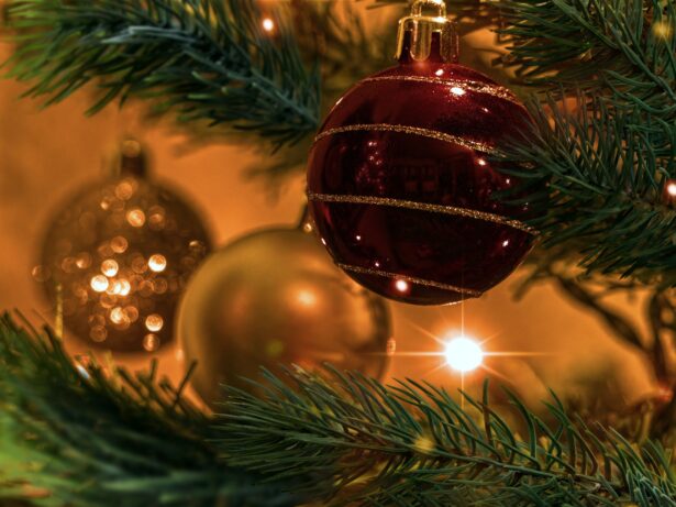Julmarknad i Kristvallabrunn